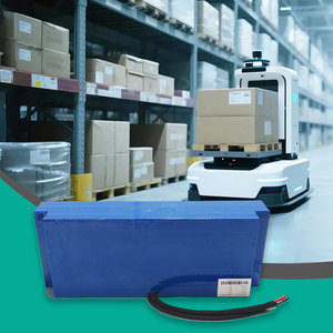 Customized Rechargeable LTO AGV Battery Pack 9Ah