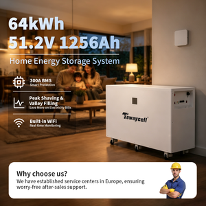 Tewaycell Large Capacity ESS 300A BMS 64KWh Moveable Battery