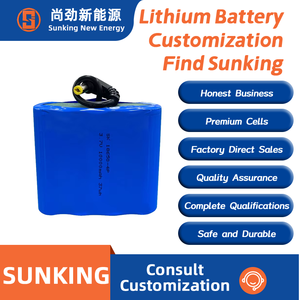SUNKING SK18650 4P Solid State Lithium Assembly